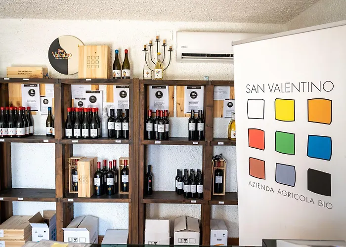 Estense 4* Gatteo a Mare